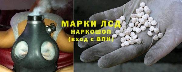ECSTASY Бородино