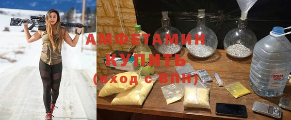 ECSTASY Бородино
